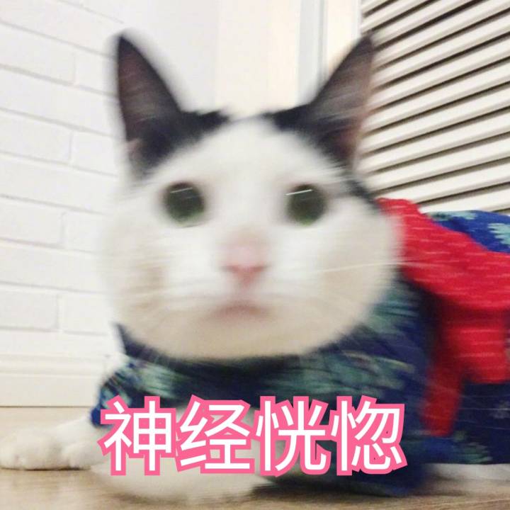 喵
来源 微博 猫咪表情包