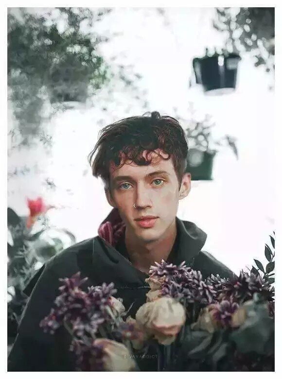 Troye Sivan[戳爷][头像][壁纸][动图]❤