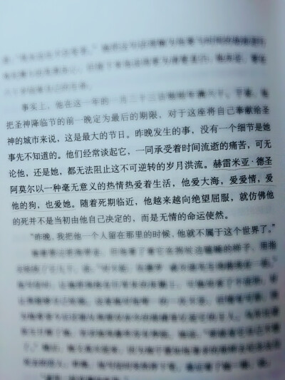  赫雷米亚.圣德阿莫尔以一种毫无意义的热情热爱着生活，他爱大海，爱爱情，爱他的狗，也爱她。
《霍乱时期的爱情》