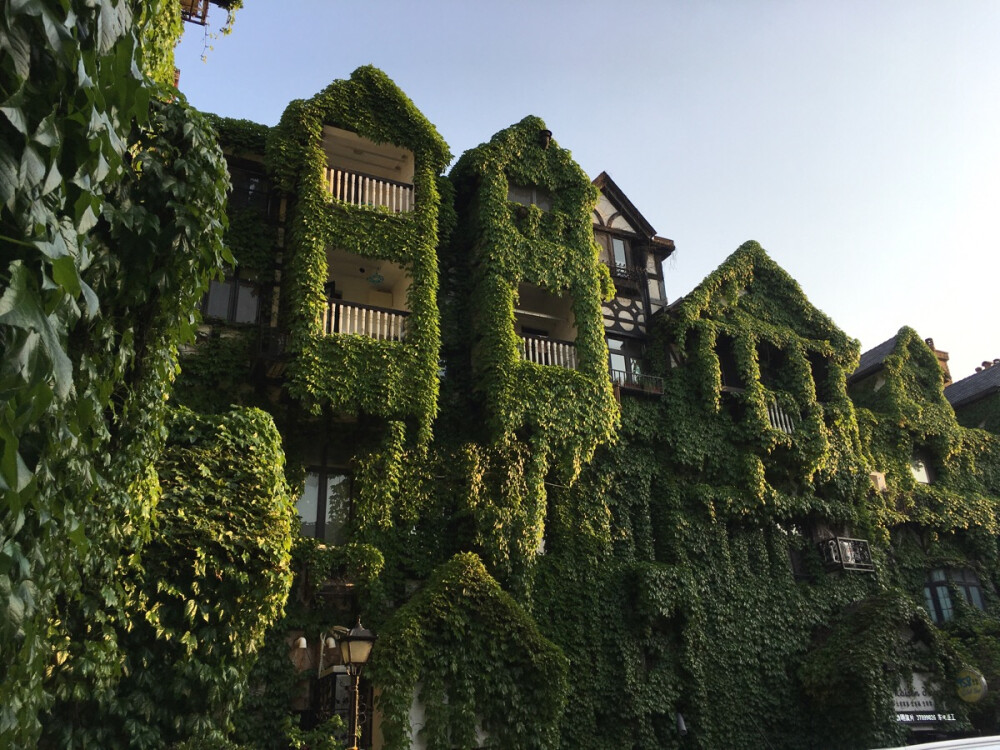 上海#泰晤士小镇