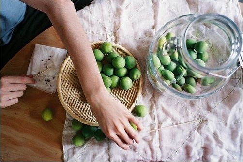 住在森林里＿＿＿森系文艺，我从你眼中看见了森林的葱绿| By 米兰的花匠家i Katherine