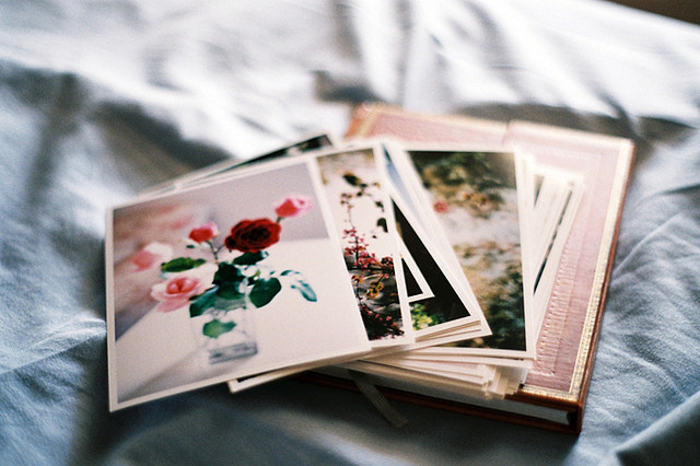 住在森林里＿＿＿森系文艺，我从你眼中看见了森林的葱绿| By 米兰的花匠家i Katherine