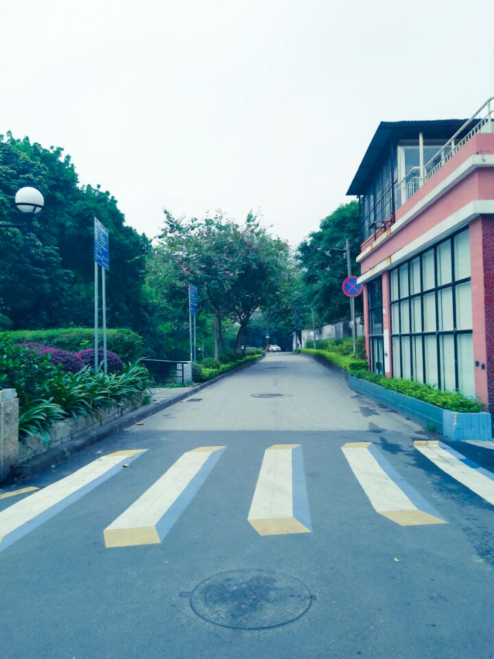 广东 广州 芳村：珠江旁边的芳村，有古老味道的建筑物。那天特意和朋友去吃鸡煲