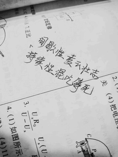 我写的我写的(*/ω＼*)