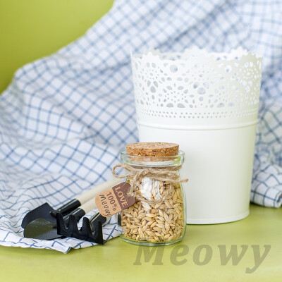 猫草种子套装宜家花盆大麦种子猫零食去毛球调理肠胃Meowy