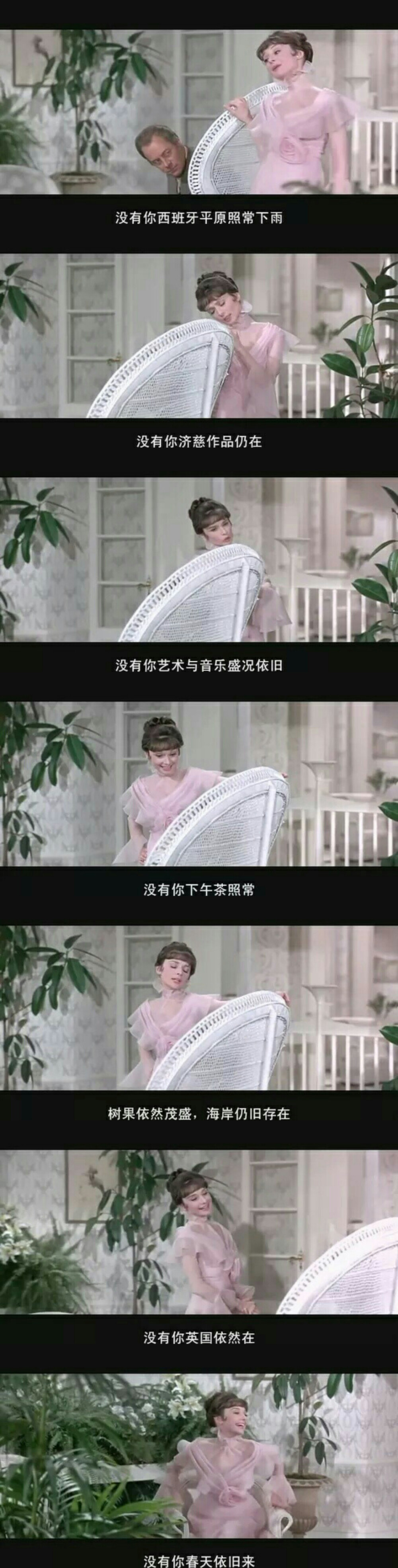 赫本 窈窕淑女