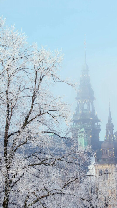 雪景