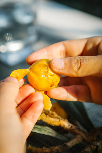 安利藜麦炒饭，颜值高，好呷味。
早餐还有同事自家种的枇杷，超小的身躯，甘汁完全不输大个子。
幸福应该就是每天起床，已经有人做好了早餐吧