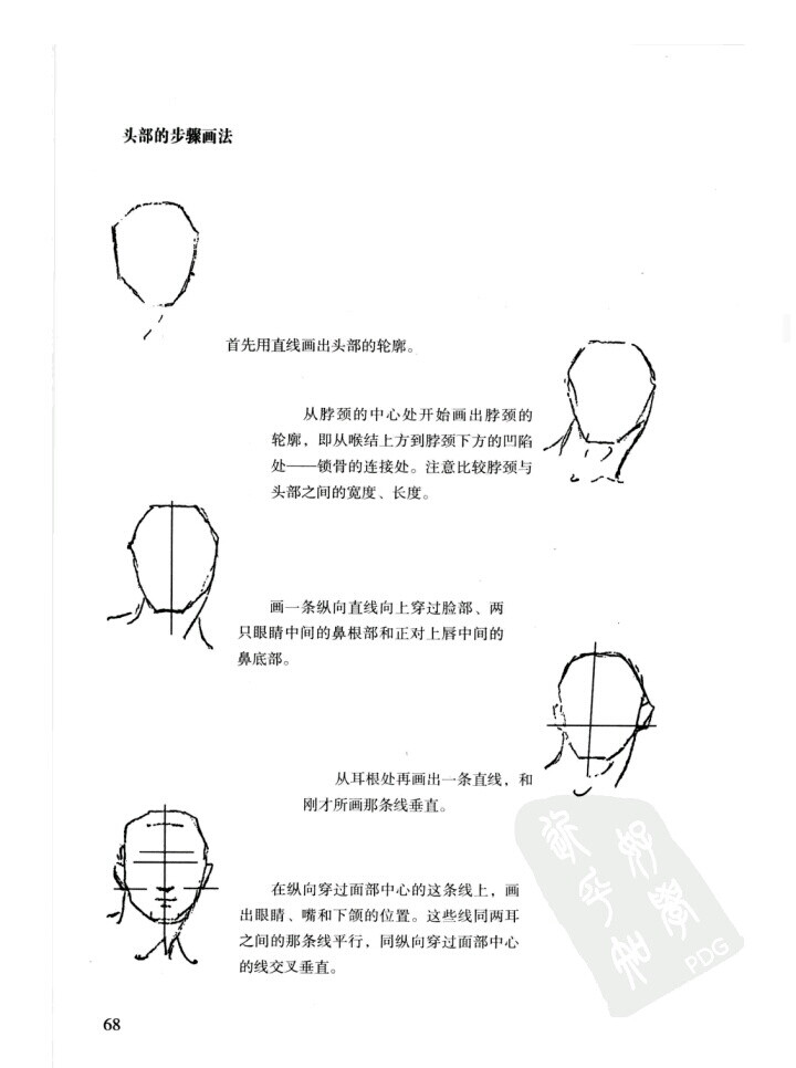 伯里曼p68 头骨步骤画法