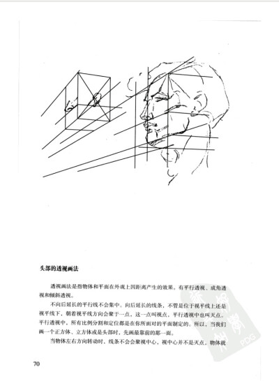 伯里曼p70 头部的透视 画法