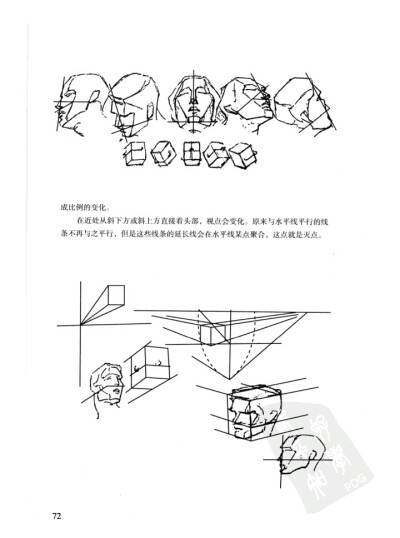 伯里曼p72 头部透视