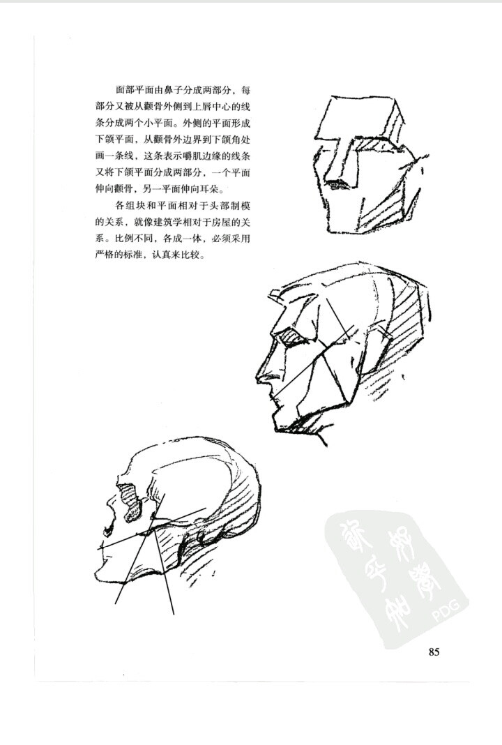 伯里曼p85 头部组块