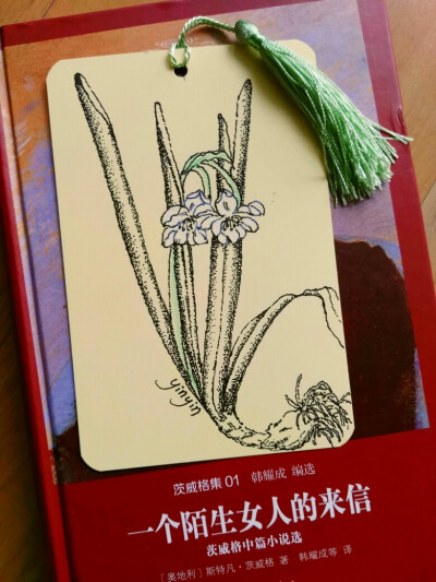 《植物类》