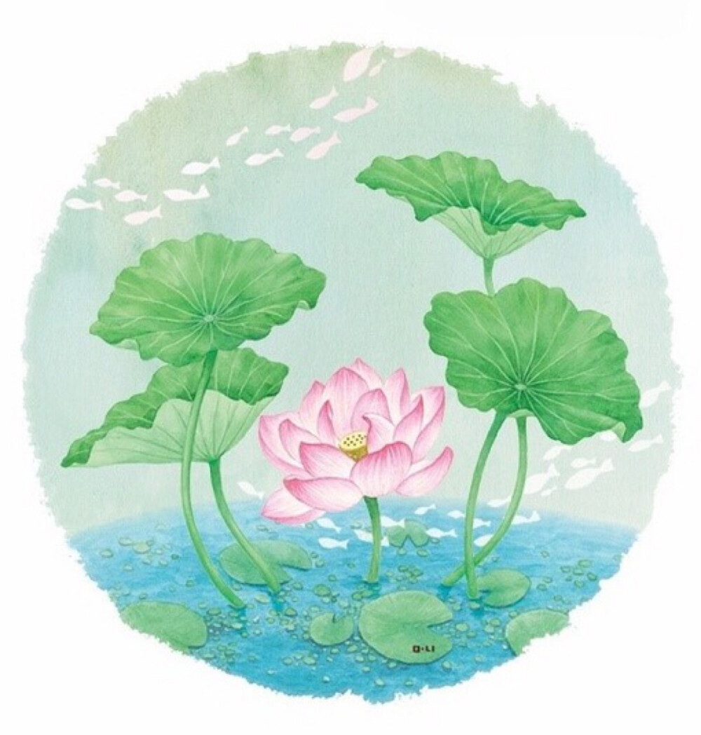 花卉插画