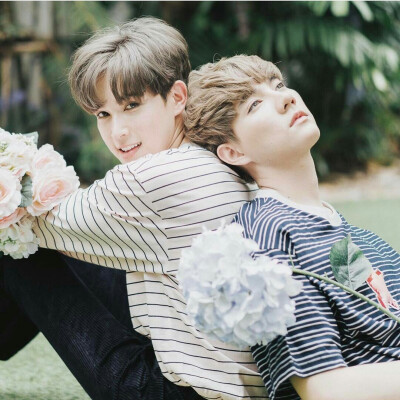 bothnewyear，泰国，情侣，小清新，壁纸，INS，头像