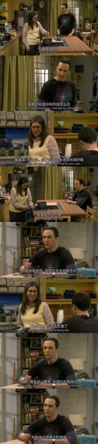 第十季，一开始谁也没有想到Sheldon和amy最后会这样吧，感觉Sheldon已经变成活生生的人了(/ω·＼*)捂脸