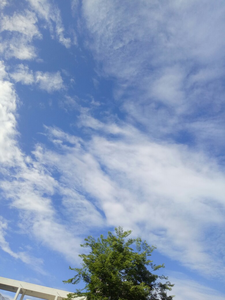  雨后:清新绿 和 天空蓝 简直就是治愈一切的良方