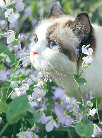 万花丛中。。你来找我呀～