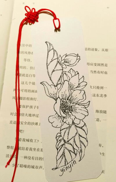 《植物类》