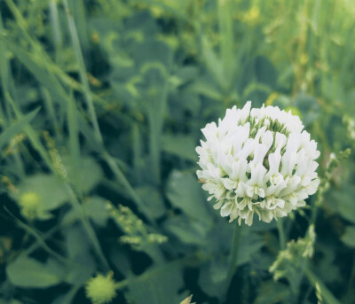 我要一辈子,下辈子