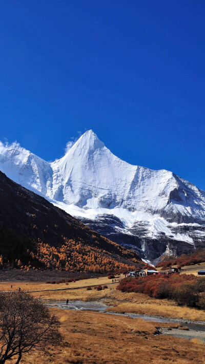 大好山河