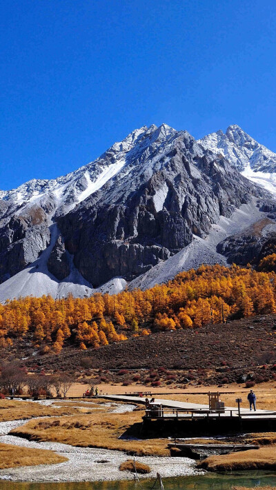 大好山河