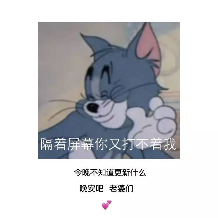 汤姆猫