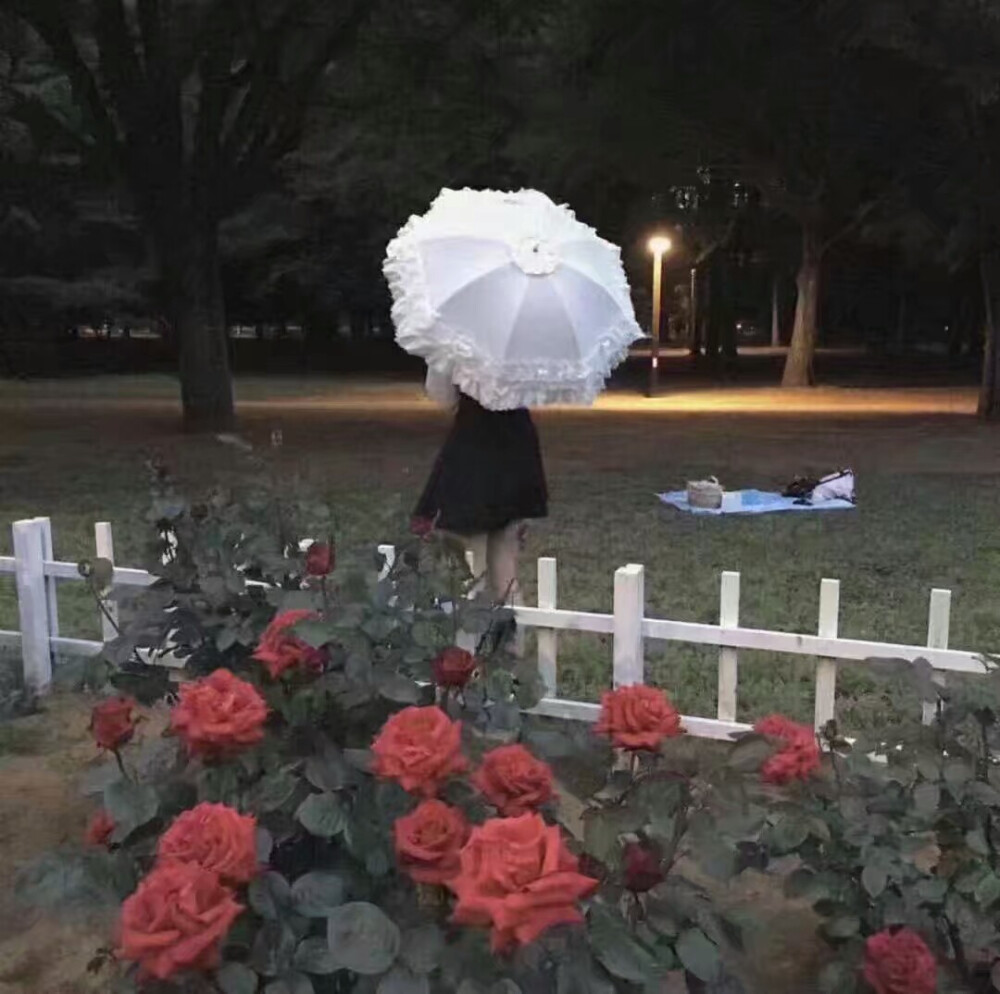 是少女心啊♡ 小清新 森系 图片 韩系 皮肤 头像 女头 男头 情头 半身 性感 风景 壁纸 宠物 插画 动漫 漫画 自截 喜欢关注不定期更新@国民撩汉大师兄