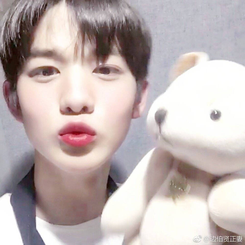 男版Produce101 WANNA·ONE 裴振英/裴珍映