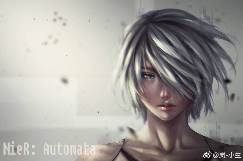 A2