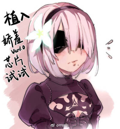 2B