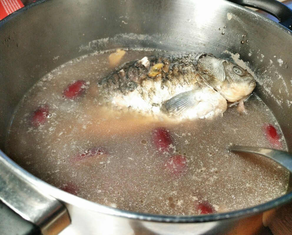 黑豆红枣鲫鱼汤penny