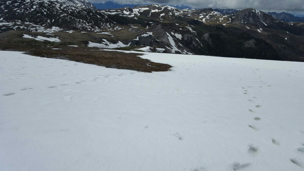 云南-香格里拉-石卡雪山(>﹏<)