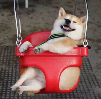 情头 可男可女？？？