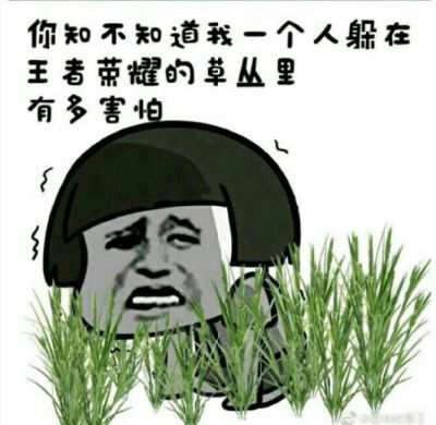 王者农药