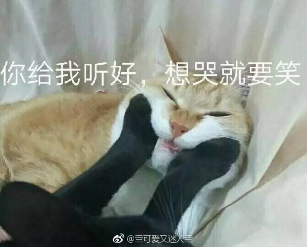 你给我听好 想哭就要笑 猫 表情包