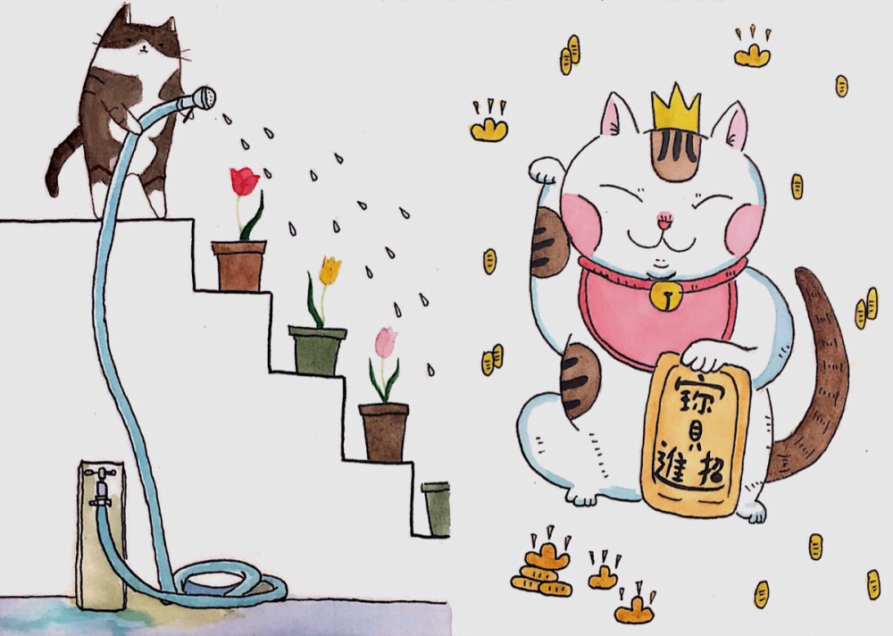 猫咪真可爱