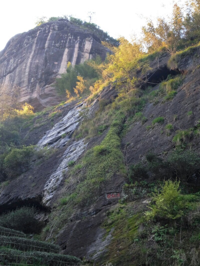 翻山越岭 终于找到 大红袍