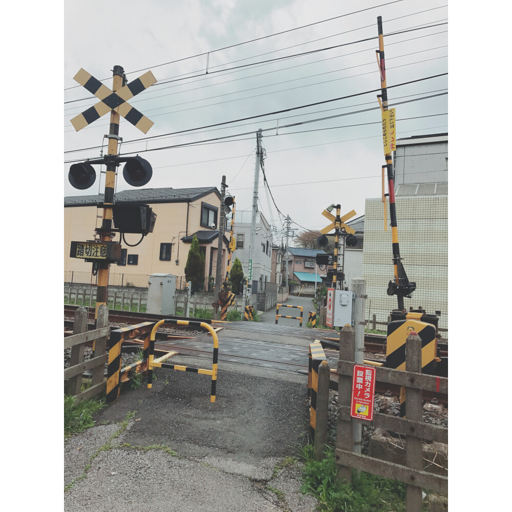 踏み切れに、電車が来る「みのり様」
