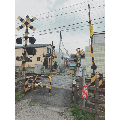 踏み切れに、電車が来る「みのり様」