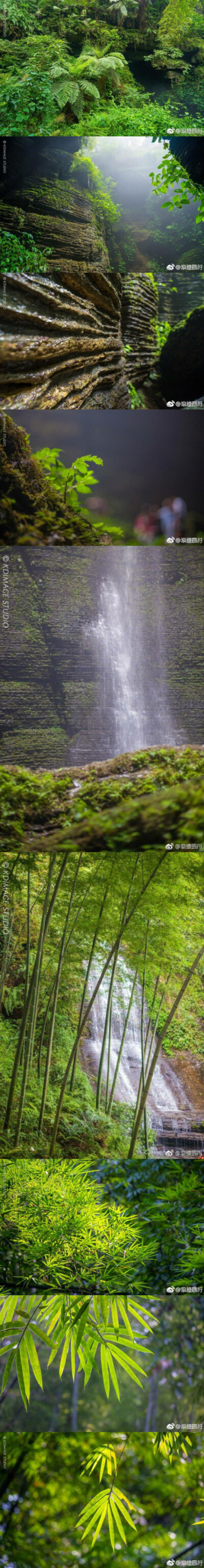 四川宜宾僰王山
竹子是熊猫最喜爱的食物，作为大熊猫故乡的四川分布着许多竹林，在四川宜宾的僰（bo)王山，这里地势突兀，植被非常繁茂以竹林为主，林间非常的清幽。在郁郁葱葱的岩石墙壁间攀爬入洞，空气中弥漫着清…