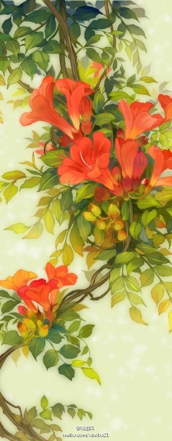 凌霄——《哑舍》晓泊