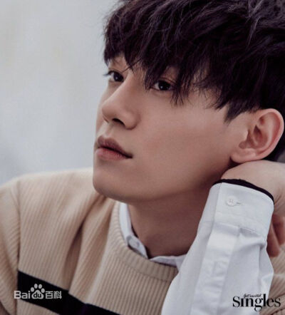 EXO CHEN 金钟大 Kim Jong Dae 美男