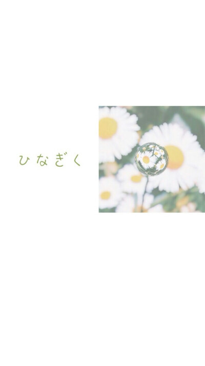 喜欢点赞走一走，ฅ( ̳• ·̫ • ̳) 喵