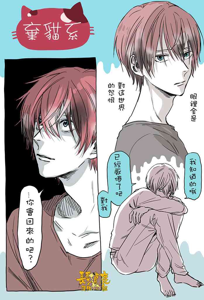 不知道为什么最喜欢弃猫