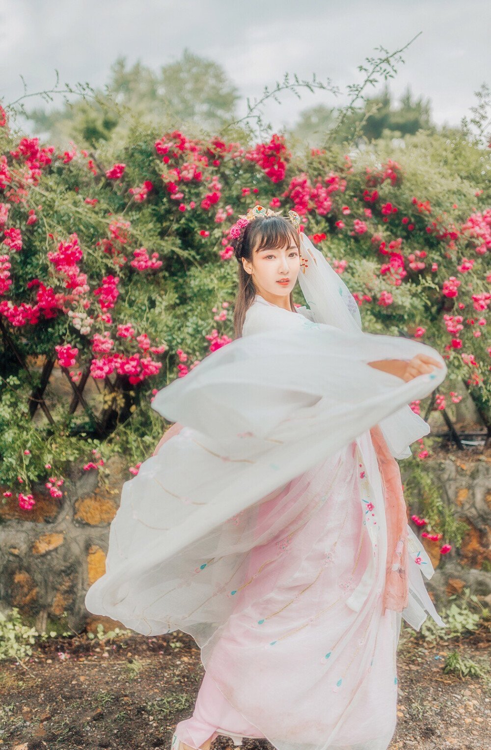 愿以柔情似水,佳期如梦 待得金风玉露相逢,胜却人间无数.摄影:敏漱儿