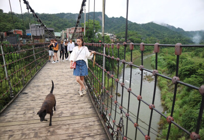 靜安吊橋
嗨，狗狗你湊什么熱鬧