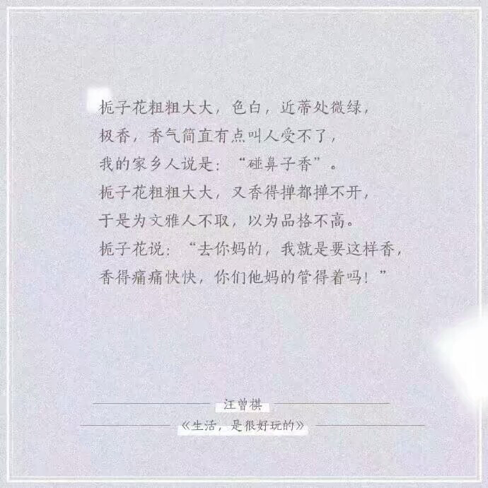 《生活，是很好玩的》汪曾祺
文学界的一股泥石流