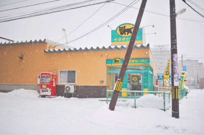 鹅毛大雪中步行去集市的路上……