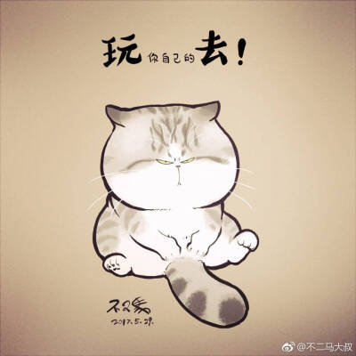 我喜欢的猫图片